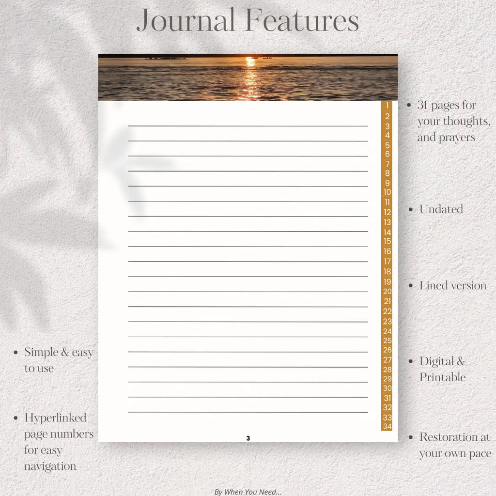 Journal page with ocean view at sunset and text about journal features.