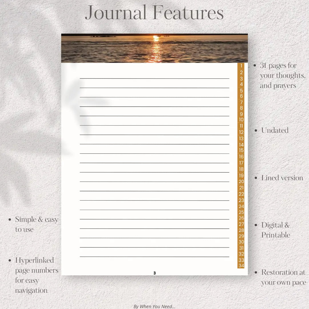 Journal page with ocean view at sunset and text about journal features.